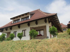 Гостиница Monix Village Zlatibor  Златибор